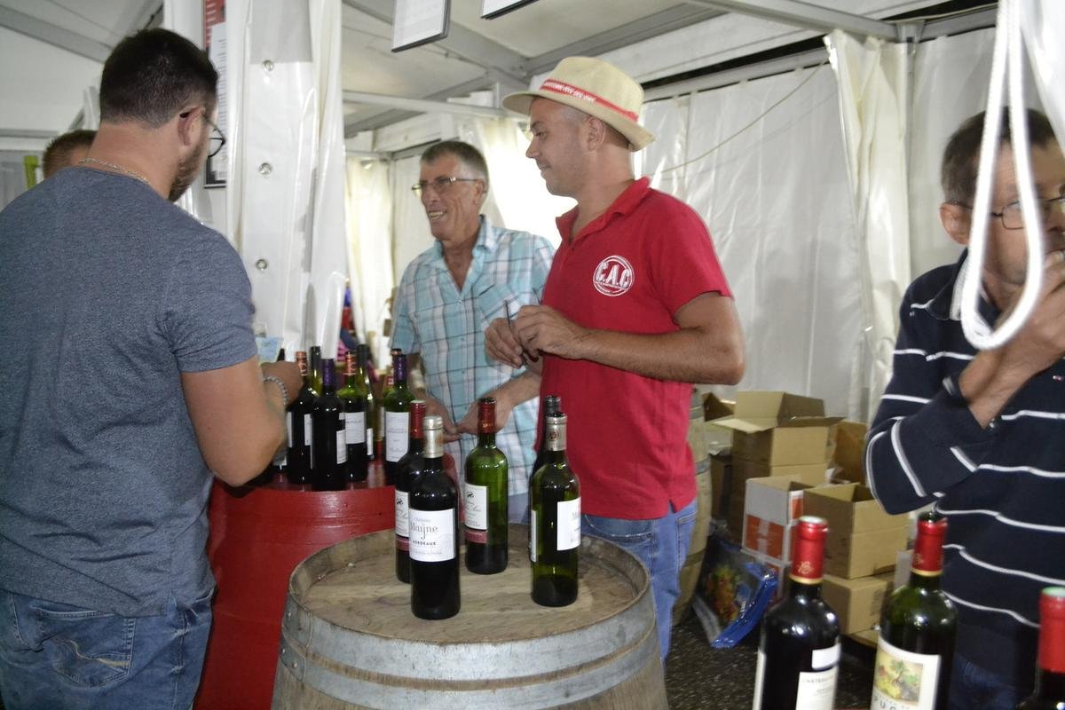 Sauveterre-de-Guyenne : des vignerons se regroupent pour promouvoir les vins locaux