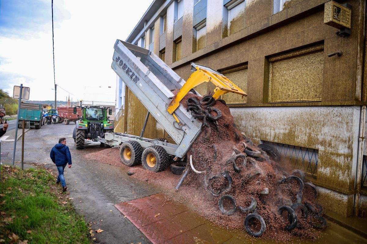 Colère des agriculteurs : trois membres de la Coordination rurale condamnés pour dégradations et outrage