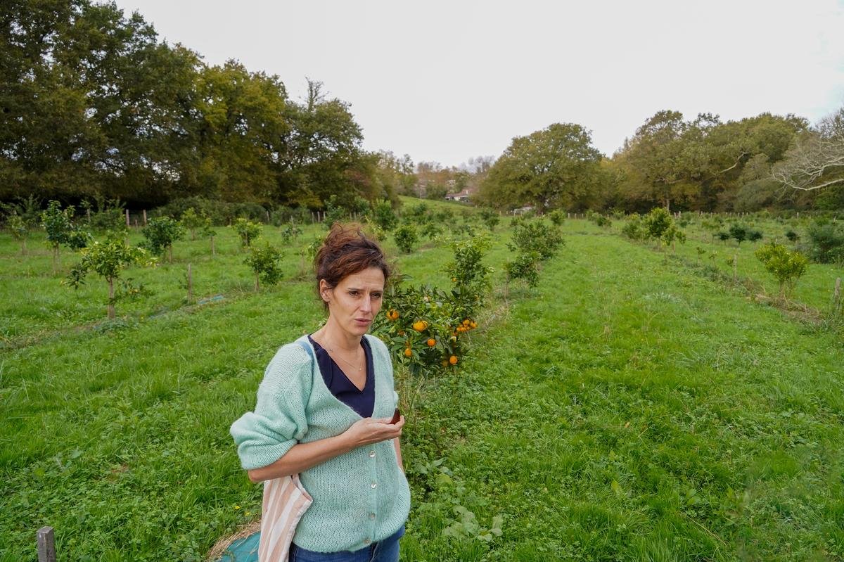 Bidart : anesthésiste et agricultrice, Juliette Lagarrigue partage sa vie entre le bloc et son verger