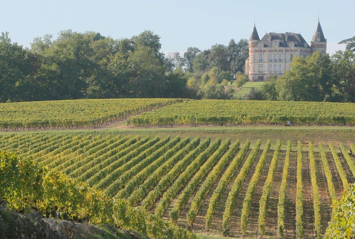 Sauternes et Barsac : un week-end doré entre vignes, patrimoine et rencontres pour les portes ouvertes