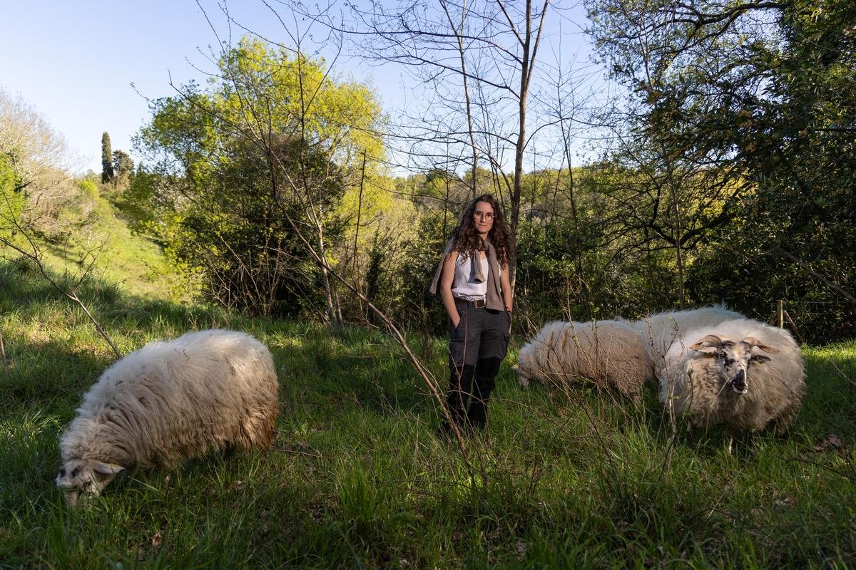 Près de Bordeaux, une bergère va faire découvrir la transhumance aux habitants d’une résidence urbaine