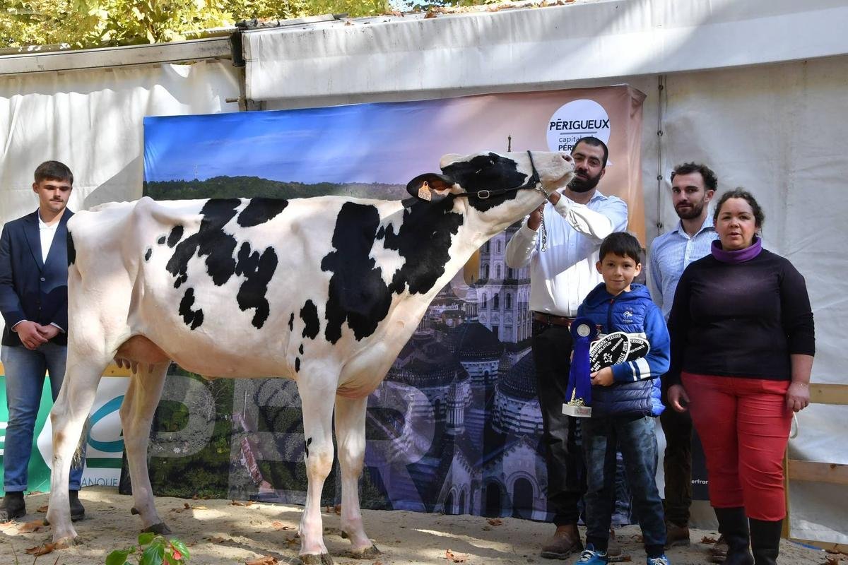 Aquitanima 2025 : un titre de championne et deux prix pour les vaches de ces éleveurs de Dordogne