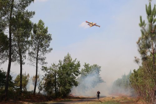 Incendies en Gironde et dans les Landes : Les trois batailles du feu de « Landiras 2 »