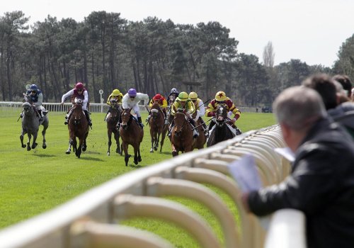 Investir dans un cheval de course : un placement gagnant ?