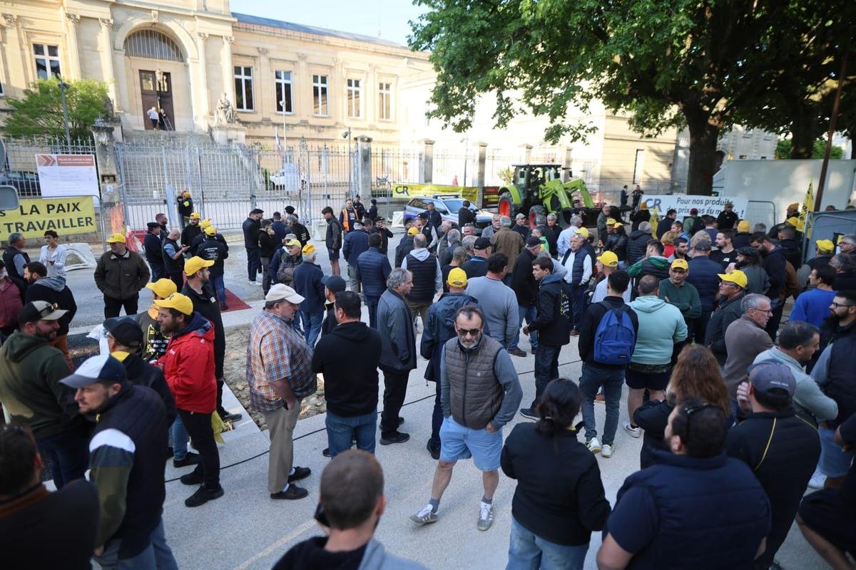 Agen. « Si la justice n’a que ça à faire, tant mieux pour elle » : 300 agriculteurs réunis ce mercredi devant le tribunal judiciaire