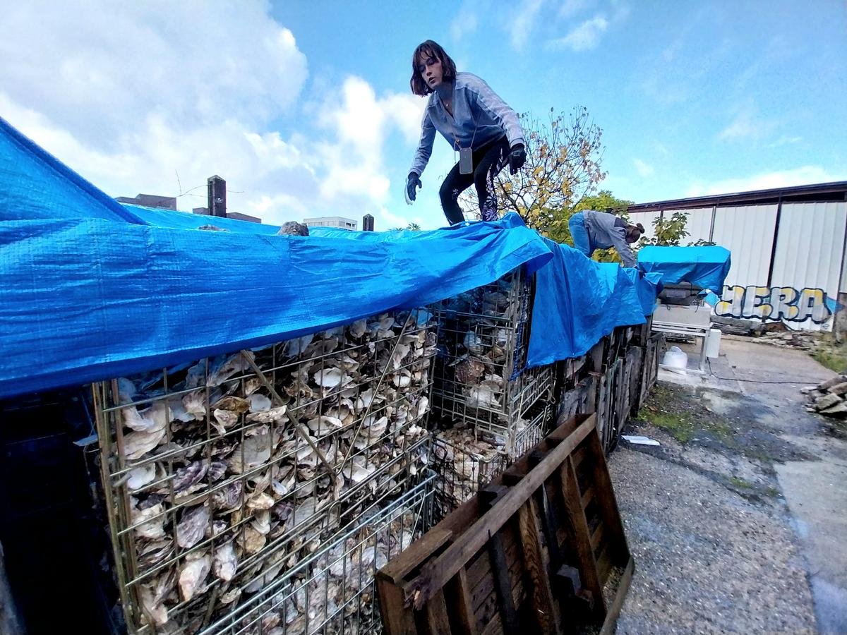 Bordeaux : où déposer vos coquilles et coquillages après les fêtes