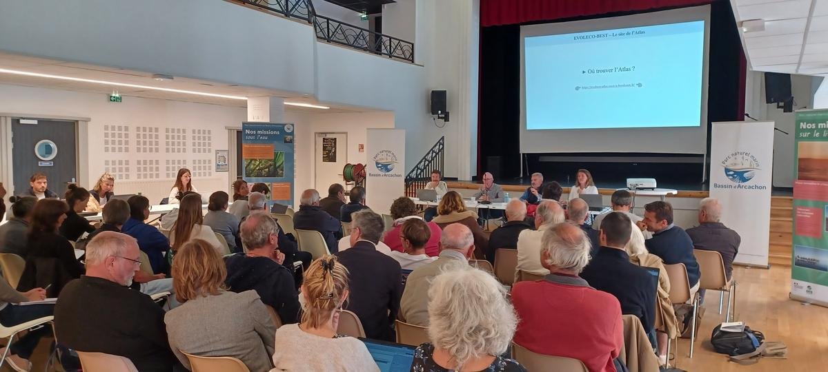 Bassin d’Arcachon : la qualité de l’eau en question avec le Parc naturel marin