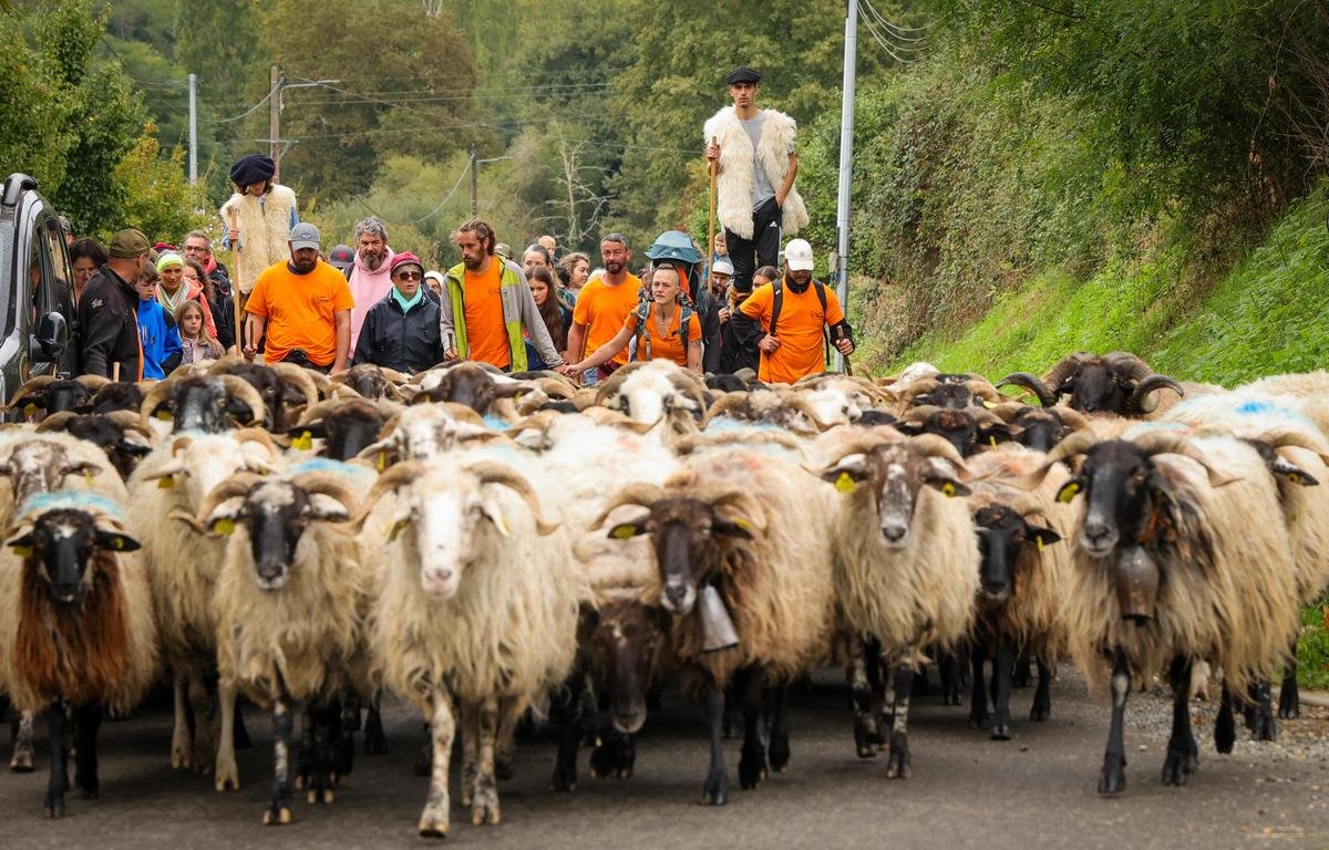 En images : revivez l’arrivée de la Route de la transhumance à Aillas