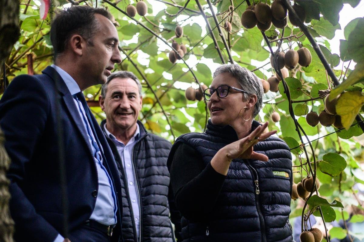 Ressource en eau : en Béarn, des kiwis plus économes grâce à une irrigation de précision