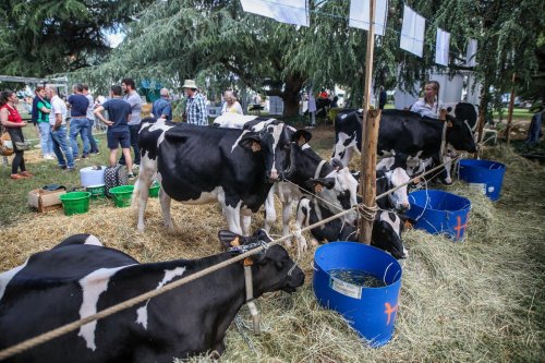 Lot-et-Garonne : Vive altercation au salon de l’élevage