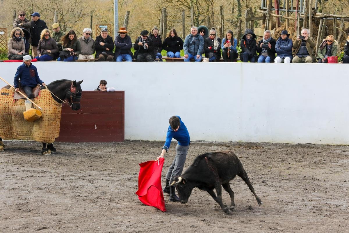 Corrida. « Cela fait plaisir de pouvoir toréer de nouveau » : Tristan Barroso prêt à être sacré matador de toros