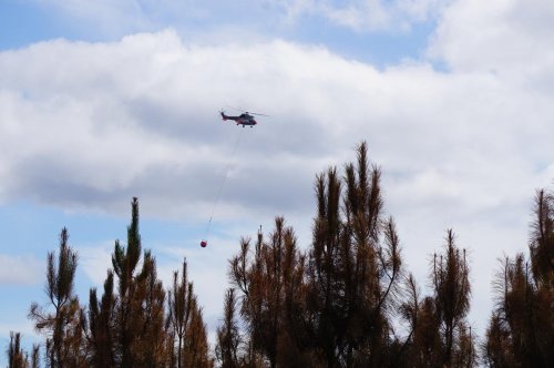 Incendies en Gironde : les premiers renforts aériens de lutte contre le feu arrivent