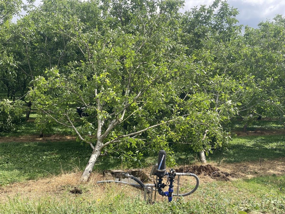 Agriculture en Dordogne : une cellule de crise après une nouvelle soirée d’orage