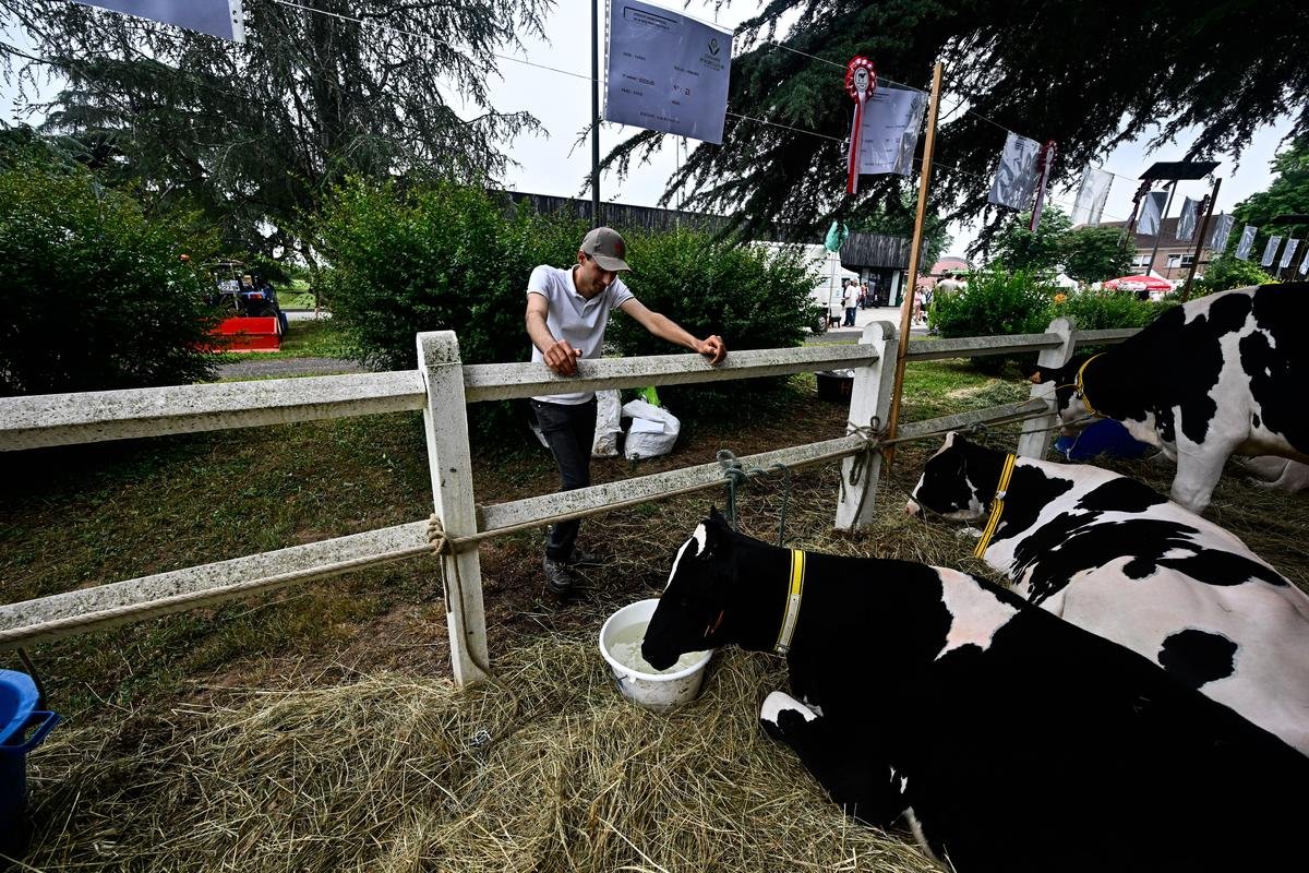 L’élevage lot-et-garonnais à la fête à Sainte-Livrade