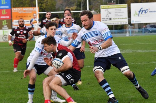 Rugby (Nationale 2) : Une demi-saison positive pour Périgueux