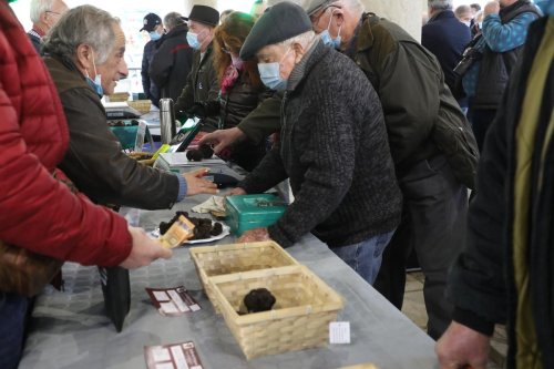 Dordogne : les marchés contrôlés aux truffes ouvrent jeudi 1er décembre, les quantités s’annoncent faibles