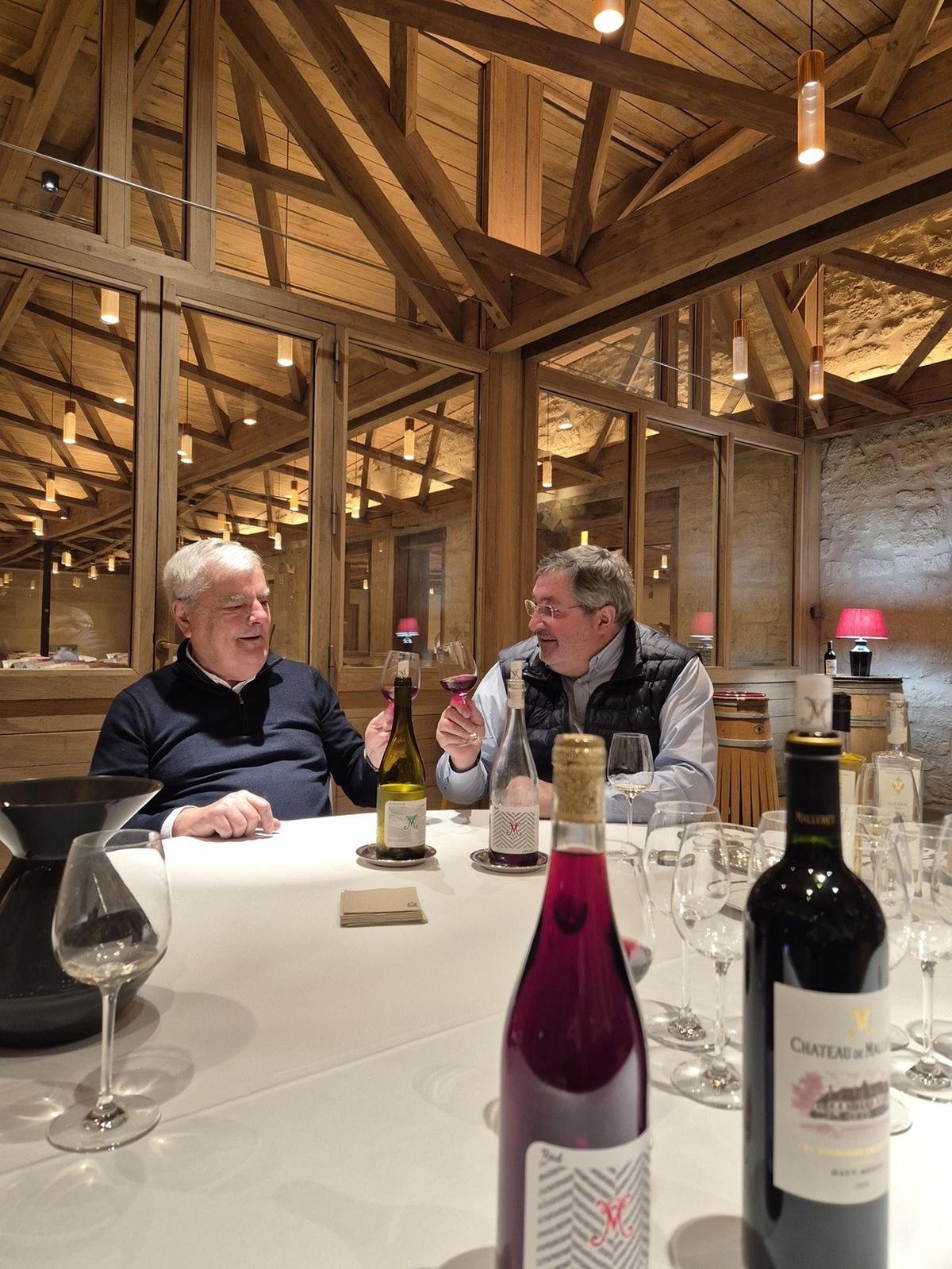 Médoc : au château Malleret, on cultive aussi des oliviers