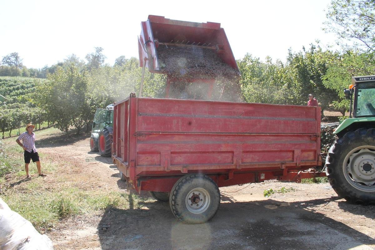 Loi Duplomb : en Béarn, les producteurs de noisettes « dépités » suite à la décision du Conseil constitutionnel