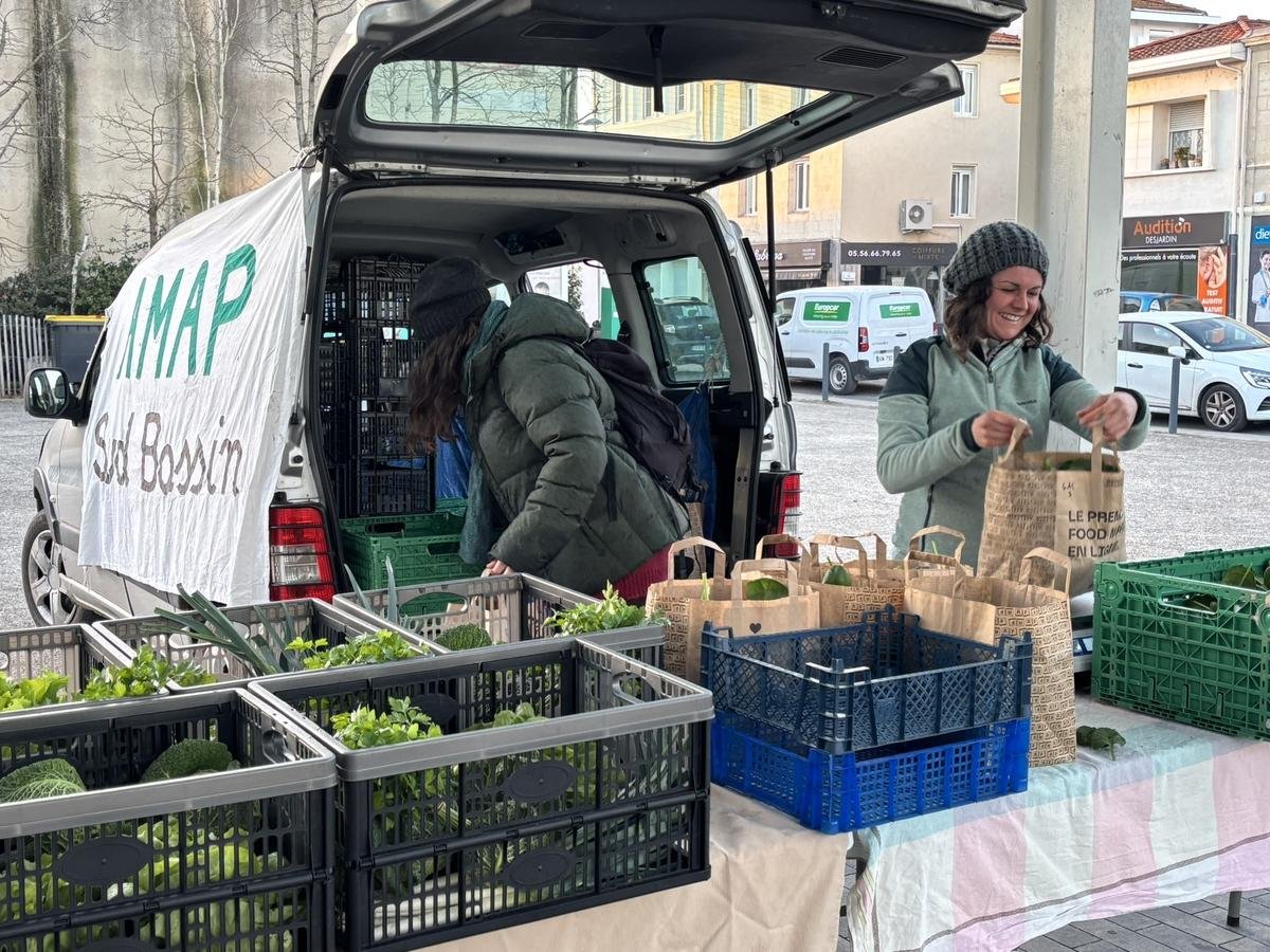 Légumes bio, de saison et locaux… Sur le bassin d’Arcachon, des paniers sont distribués par l’Amap chaque semaine