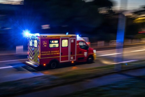 Gironde : une femme à moto percute un sanglier et se tue