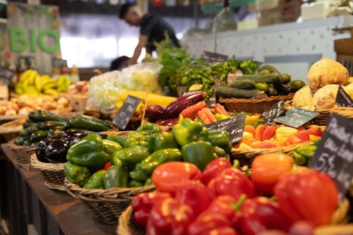 Une journée découverte de l’agriculture locale proposée à Cozes