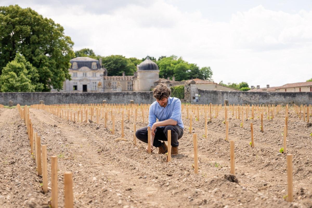 Vin et patrimoine. La renaissance du château de Malle dans le Sauternais