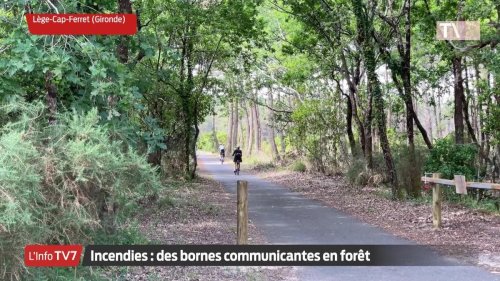 Vidéo TV7. Bassin d’Arcachon : des bornes communicantes en forêt pour prévenir les incendies