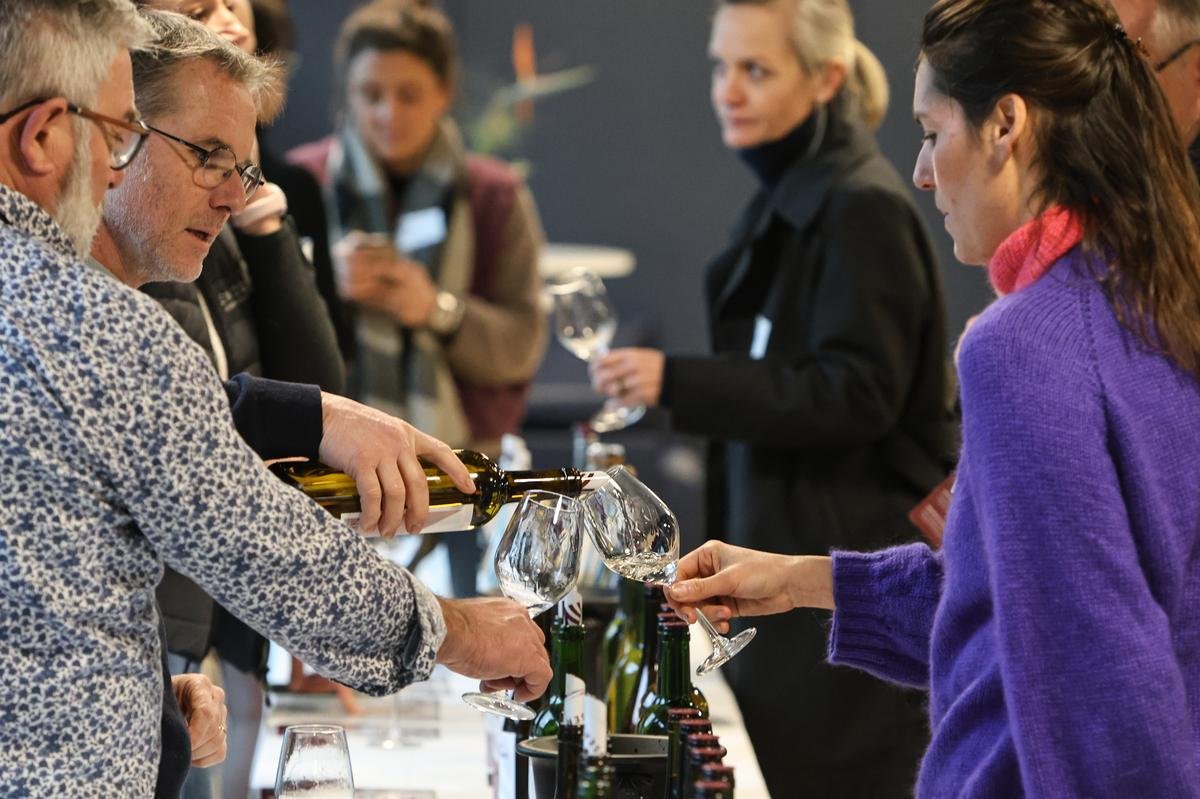 Vin de Bordeaux : enfin un millésime « facile » qui s’annonce « extraordinaire »