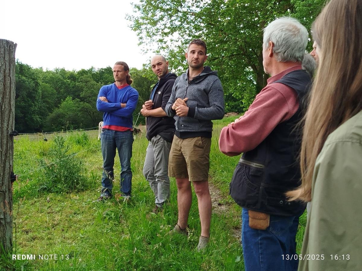 Landes : à Pey, ce jeune éleveur a fait le choix des races bovines anciennes et des circuits courts