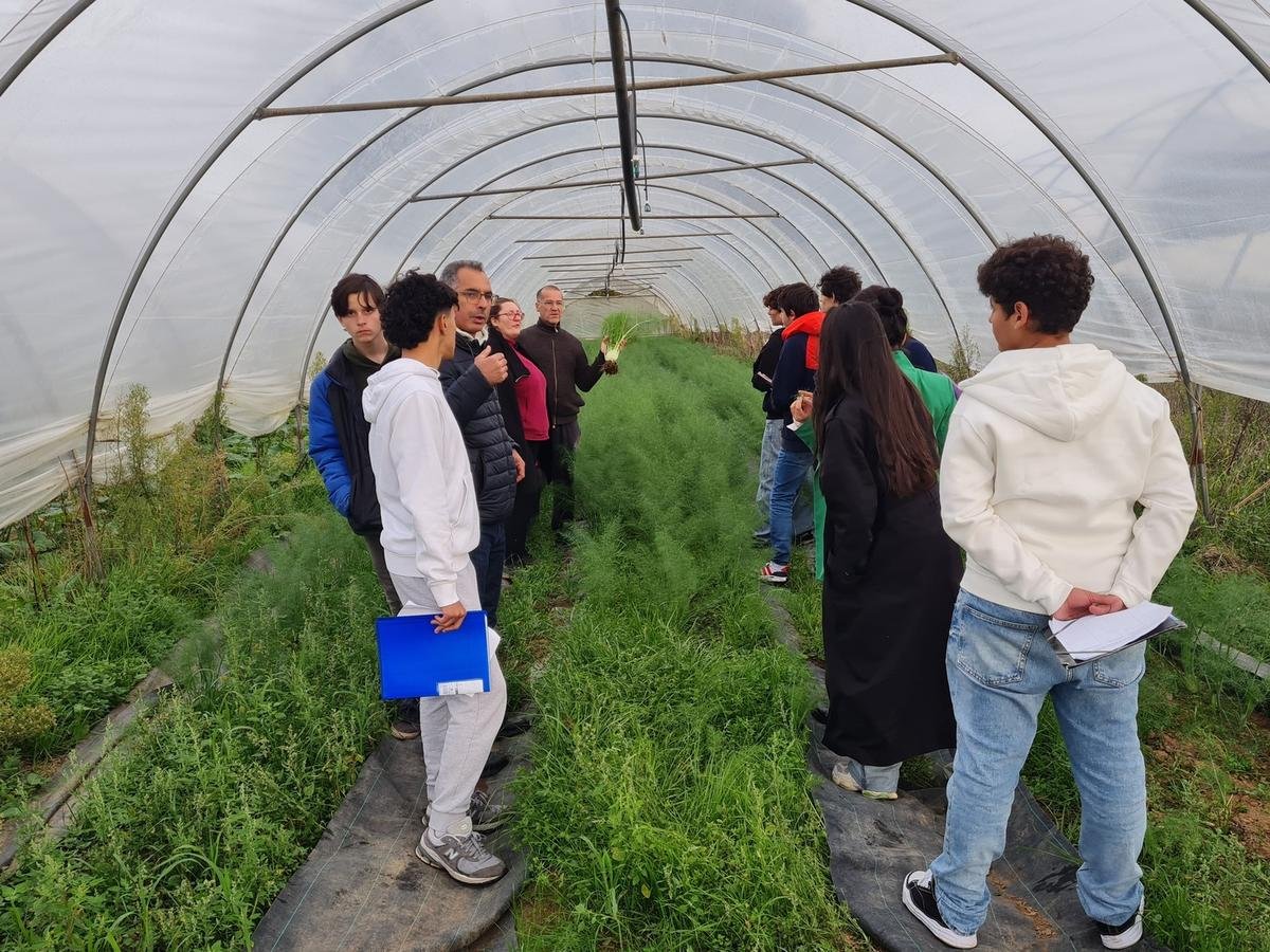 Les lycéens villeneuvois découvrent le maraîchage bio à Fongrave