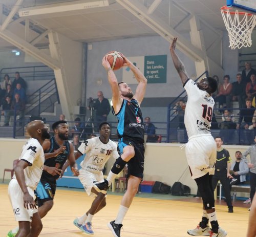 Basket-ball. Coupe des Landes (demi-finales) : Tursan Basket Chalosse devra muscler son jeu pour faire tomber le Stade Montois