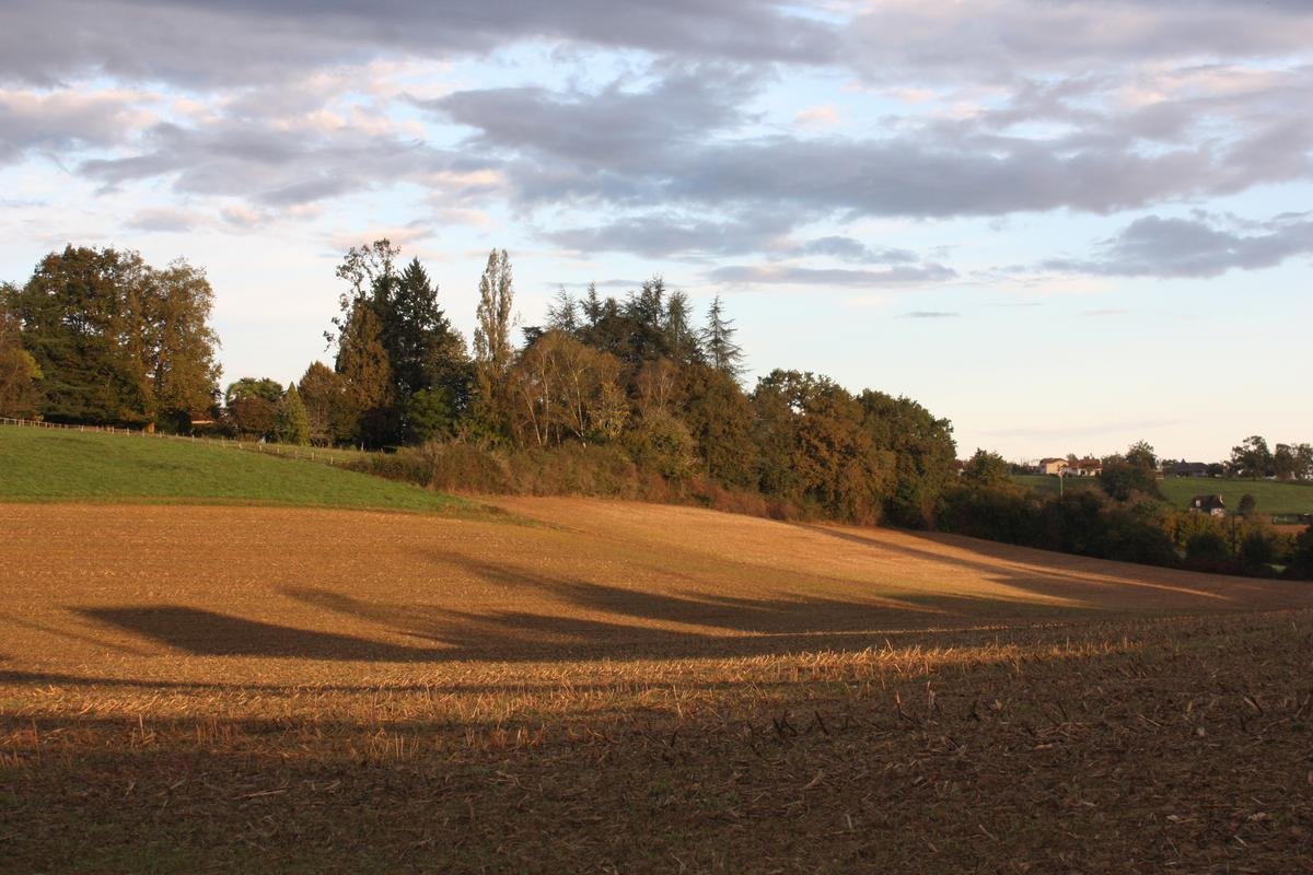 Formations agricoles dans les Landes : « un bon agriculteur est avant tout un excellent chef d’entreprise »