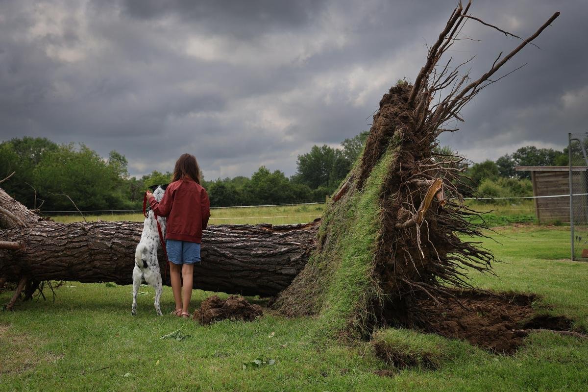 « Une année de travail dans les vignes qui s’en va en quelques minutes » : dans l’Entre-deux-Mers, l’orage a fait de gros dégâts