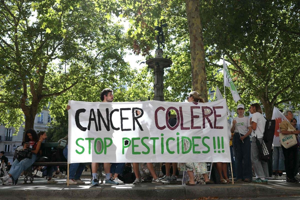 Bordeaux : une manifestation pour défendre l’agriculture bio prévue le 23 septembre