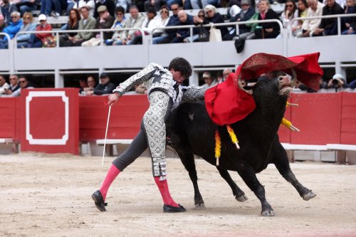 Alternative de Tristan Barroso à Arles : la dure réalité de ce monde des toreros
