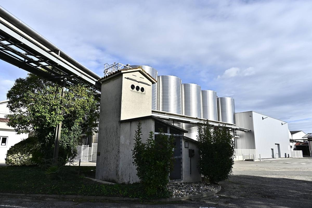 Vignerons de Buzet : suppressions d’emplois, fin de l’embouteillage… Ce que dit le plan pour sauver la cave