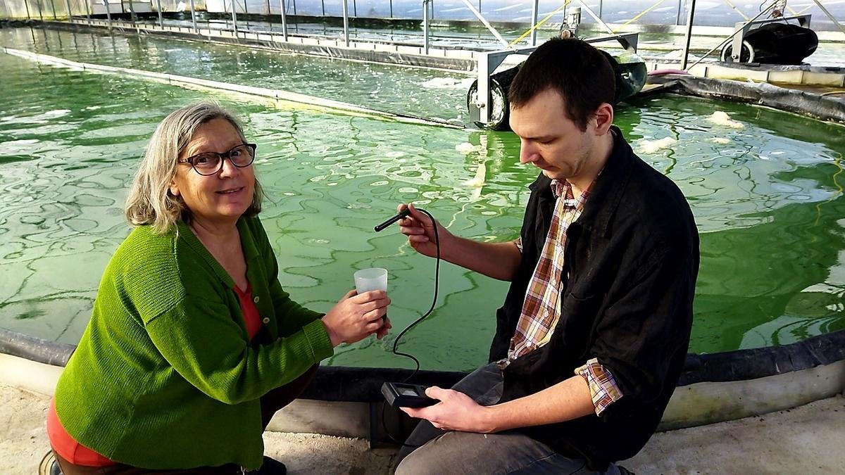 Charente-Maritime : la spiruline, un micro-organisme précieux à découvrir à Consac
