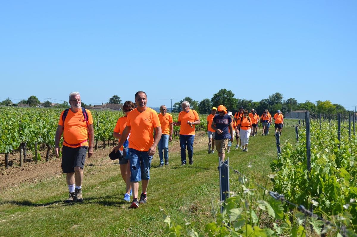 « Nous attendons 2 000 randonneurs de toute la France » : la 8e édition de la Ronde des vignobles se dévoile en Fronsadais