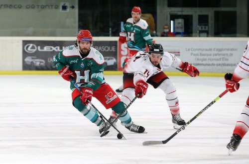 Hockey sur glace (Ligue Magnus) : l’Anglet Hormadi réagit brillamment face à Nice (3-1)