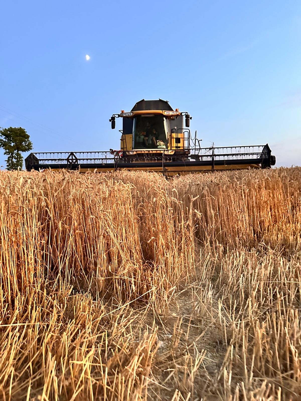 « Je pense que ça va être catastrophique » : les agriculteurs de Dordogne toujours en mauvaise posture