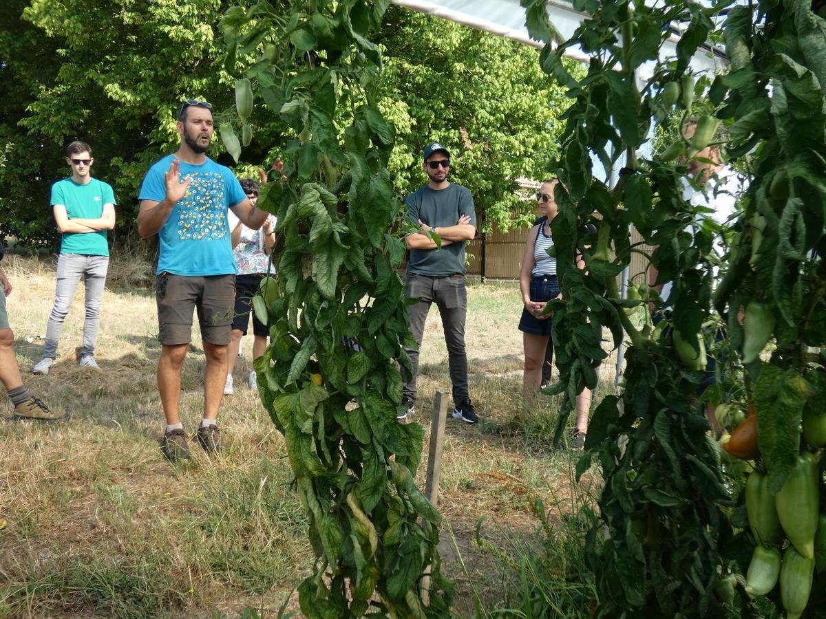 Vayres : la ferme Deux bouts récompensée pour son engagement bio et social