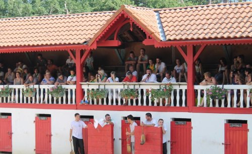 Bégaar : un concours de cocardes inédit, ce samedi 17 mai