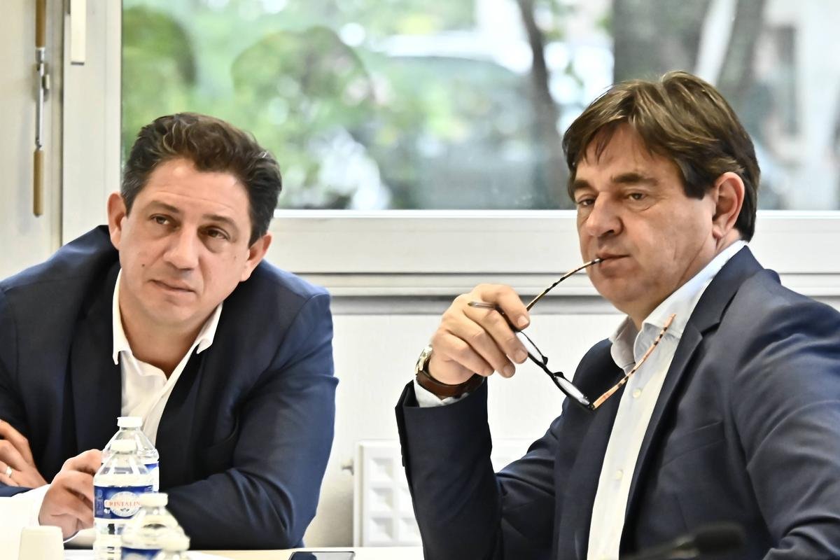 Frelon asiatique : la proposition de loi du sénateur Masset devant les députés