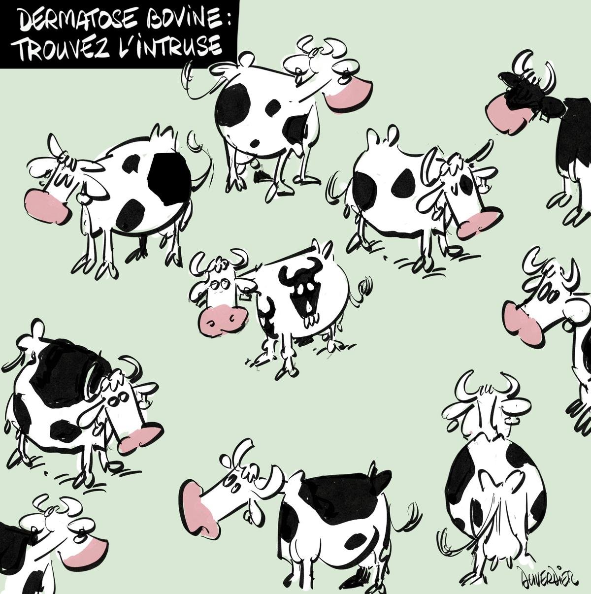 Les Coups de béret du samedi 13 décembre sont servis !