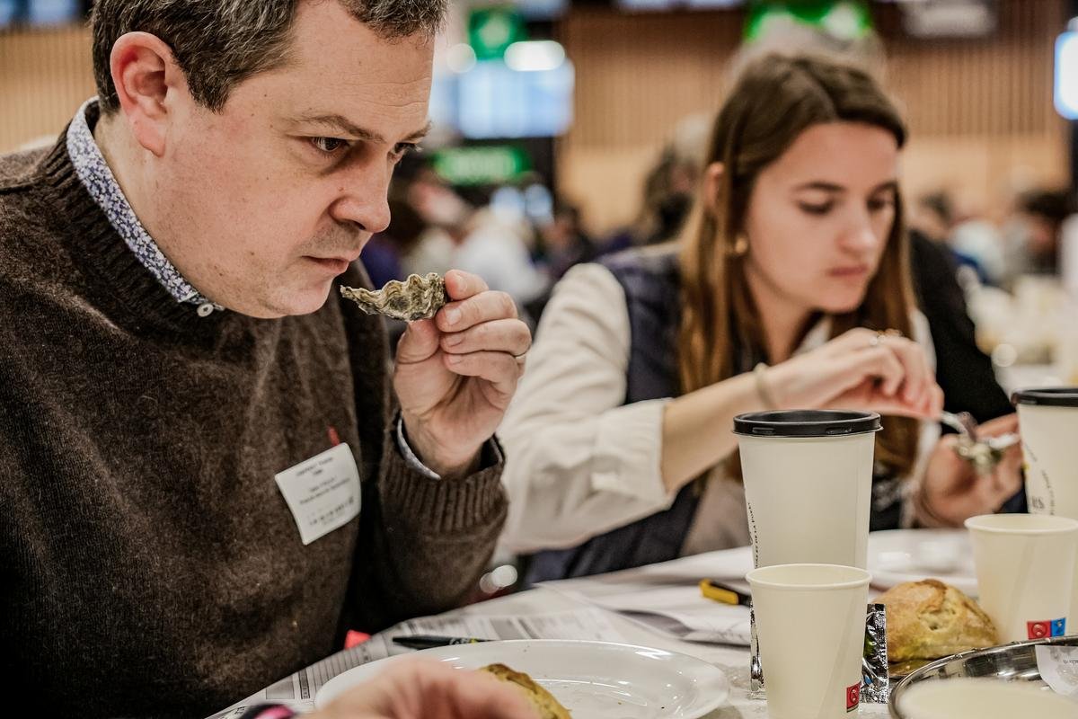 Concours général agricole 2025 : découvrez les ostréiculteurs girondins médaillés au Salon de l’agriculture
