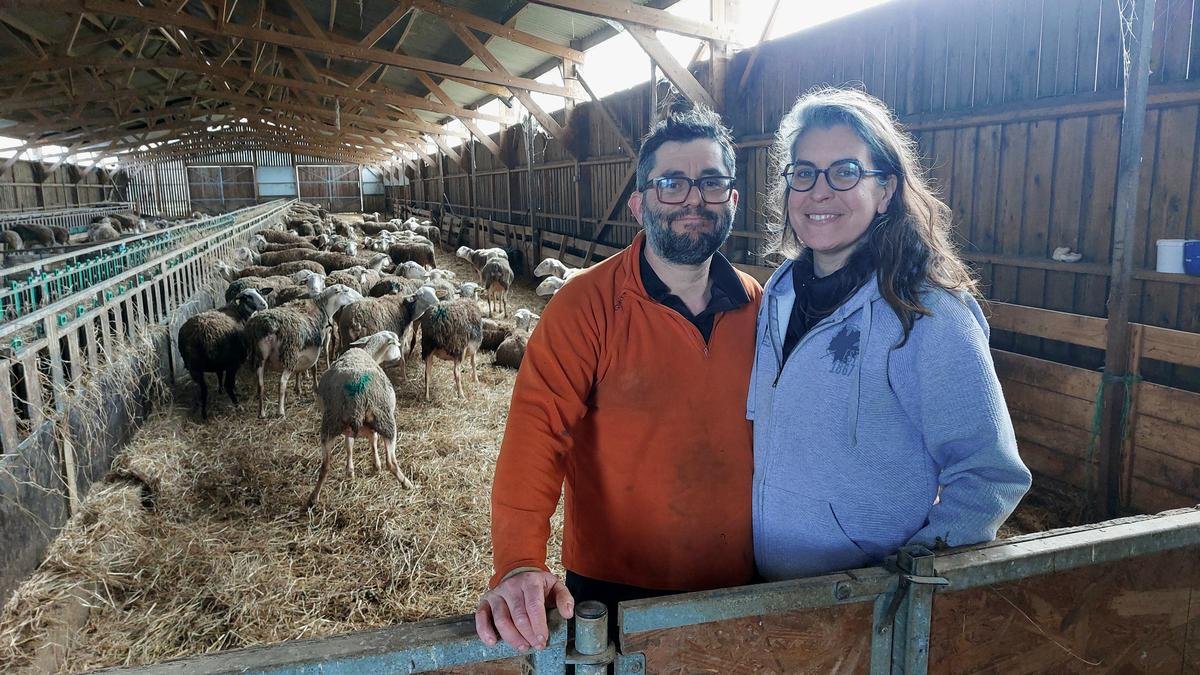 « On enchaîne les galères » : un couple d’éleveurs laitiers de Dordogne lance une cagnotte pour sauver son cheptel
