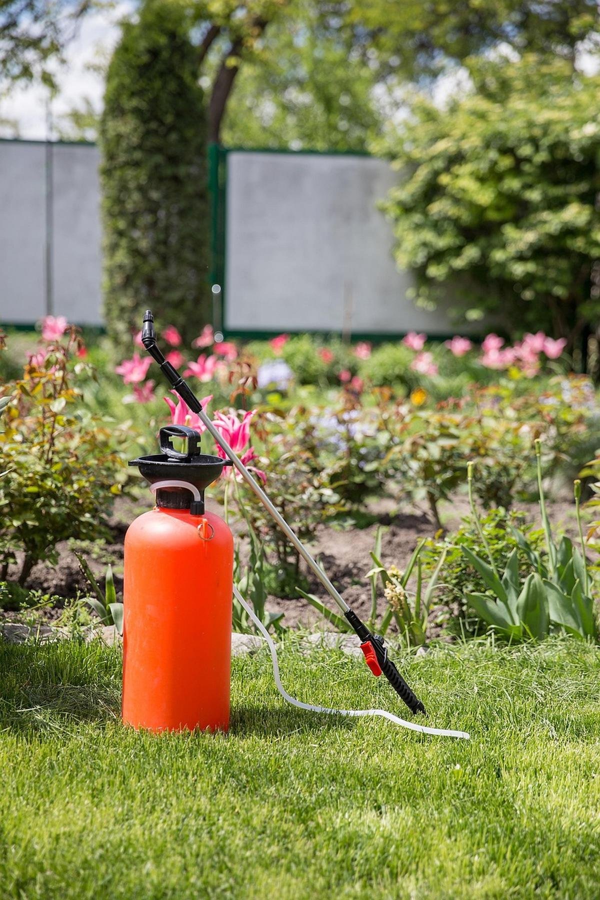 Interdits en UE, des insecticides et herbicides sont encore régulièrement à l’origine d’intoxications en France