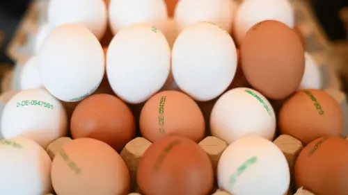 Eier, wir liefern keine Eier