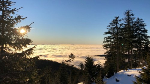 Bayerischer Wald:Ein Meer aus Wolken