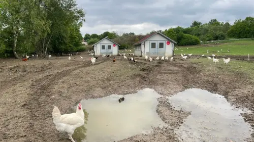 Denkfabrik für eine andere Landwirtschaft